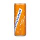 Fernandes Ginger Dranken 0.33 cl + 0.15 cent statiegeld